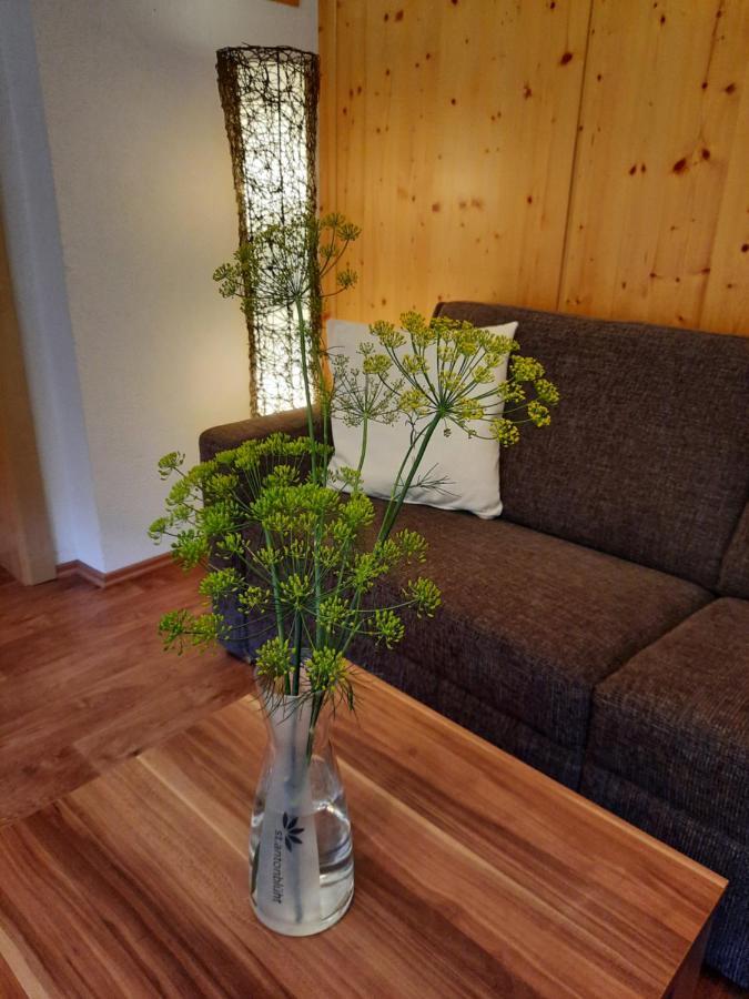Haus Untergand Apartment Санкт Антон ам Арлберг Екстериор снимка